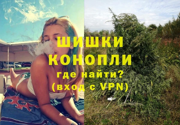 PSILOCYBIN Абинск