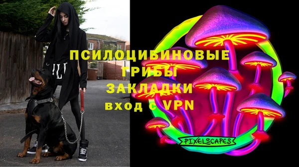 PSILOCYBIN Абинск