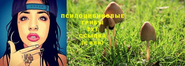 PSILOCYBIN Абинск