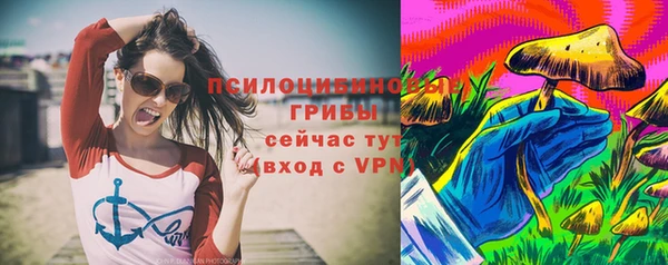 ГАЛЛЮЦИНОГЕННЫЕ ГРИБЫ Абдулино
